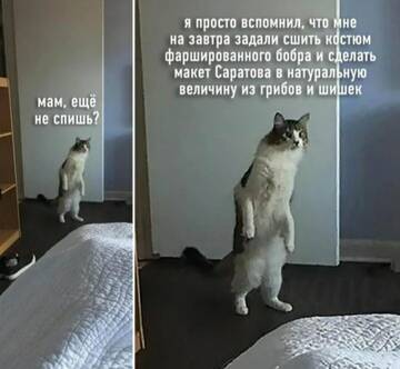 https://upforme.ru/uploads/001a/b7/49/250/t946762.jpg