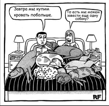 https://upforme.ru/uploads/001a/b7/49/250/t960334.jpg