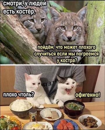 https://upforme.ru/uploads/001a/b7/49/250/t985987.jpg