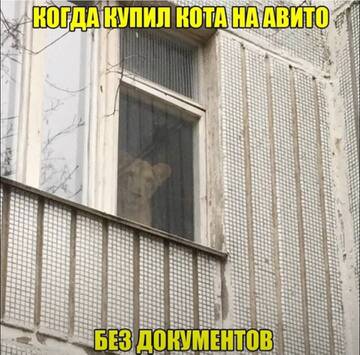 https://upforme.ru/uploads/001a/b7/49/250/t992264.jpg