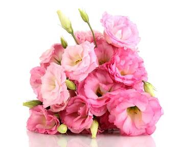 https://upforme.ru/uploads/001a/b7/49/251/t139186.jpg
