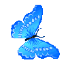 https://upforme.ru/uploads/001a/b7/49/251/t529436.gif