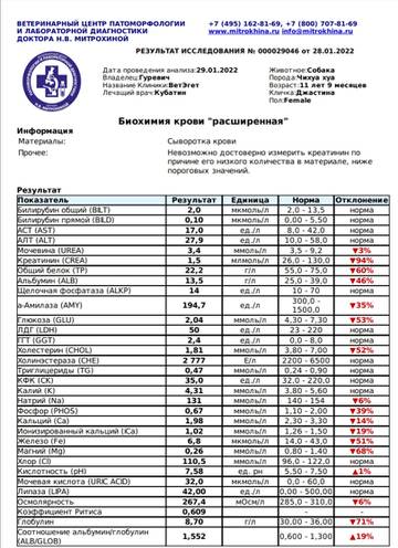 https://upforme.ru/uploads/001a/b7/49/258/t792277.jpg