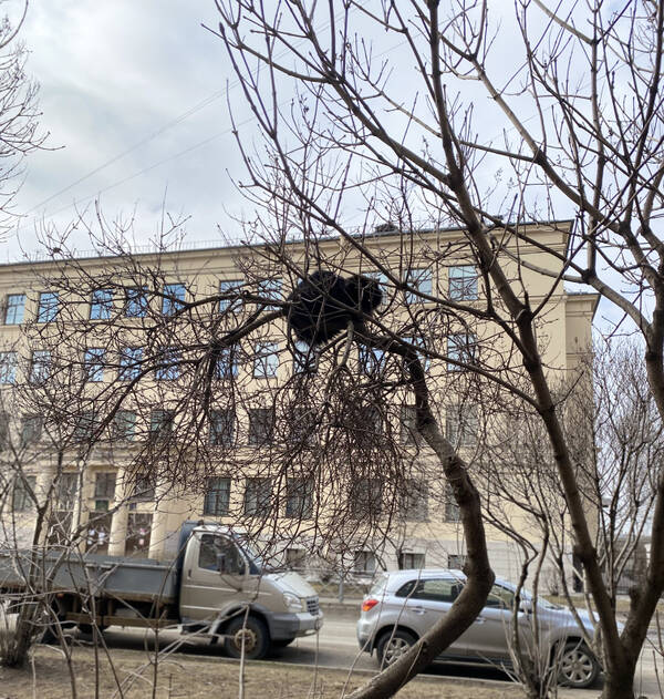 https://upforme.ru/uploads/001a/b7/49/265/t140725.jpg