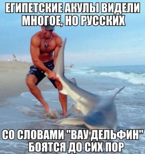 https://upforme.ru/uploads/001a/b7/49/27/t507532.jpg