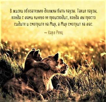 https://upforme.ru/uploads/001a/b7/49/28/t163659.jpg
