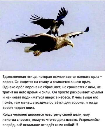 https://upforme.ru/uploads/001a/b7/49/28/t472914.jpg