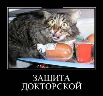 https://upforme.ru/uploads/001a/b7/49/28/t798108.jpg