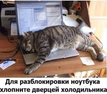 https://upforme.ru/uploads/001a/b7/49/3/t321892.jpg