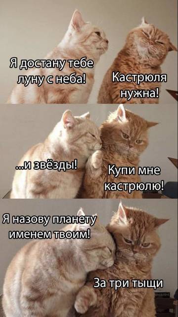 https://upforme.ru/uploads/001a/b7/49/3/t475338.jpg