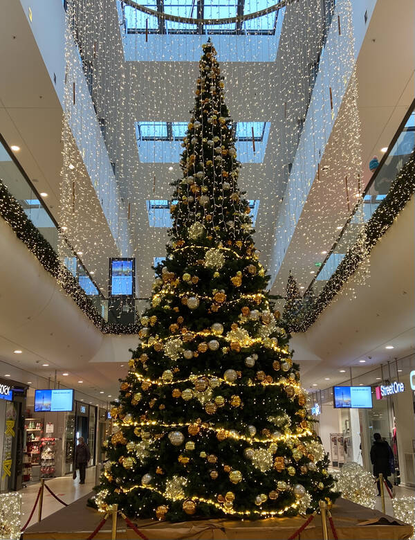 https://upforme.ru/uploads/001a/b7/49/3/t559602.jpg