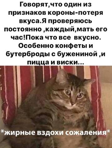 https://upforme.ru/uploads/001a/b7/49/3/t612920.jpg