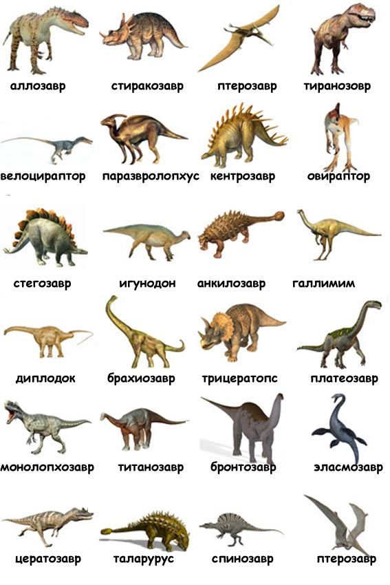 https://upforme.ru/uploads/001a/b7/49/3/t786065.jpg