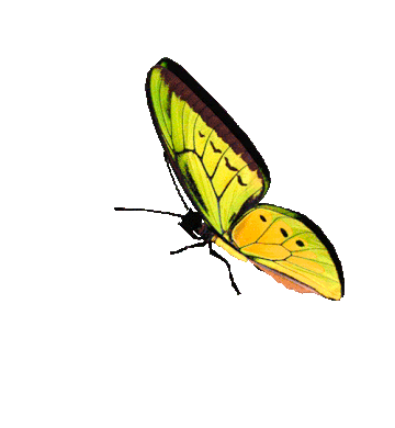 https://upforme.ru/uploads/001a/b7/49/3/t849617.gif