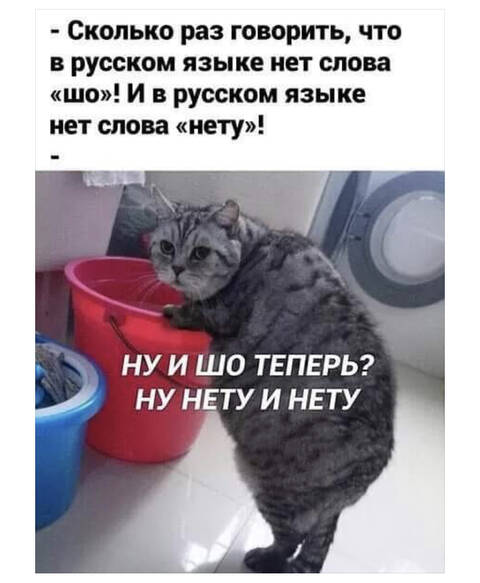 https://upforme.ru/uploads/001a/b7/49/3/t883939.jpg