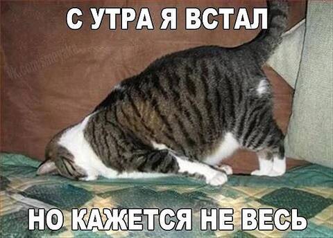 https://upforme.ru/uploads/001a/b7/49/32/t195911.jpg