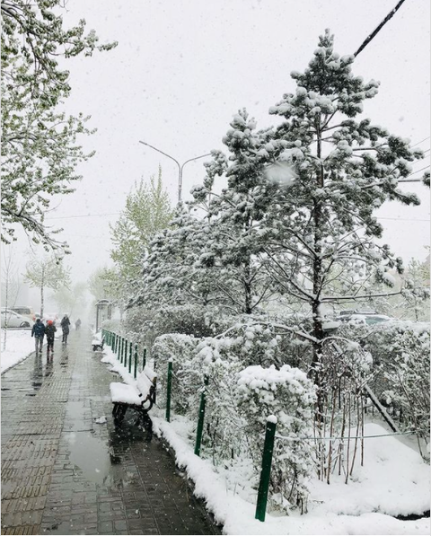 https://upforme.ru/uploads/001a/b7/49/32/t322104.png