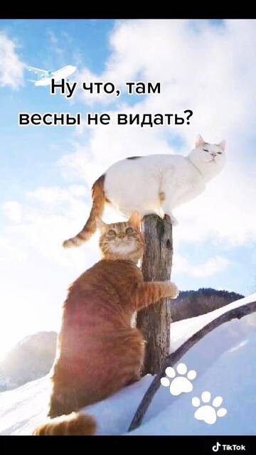 https://upforme.ru/uploads/001a/b7/49/32/t482678.jpg