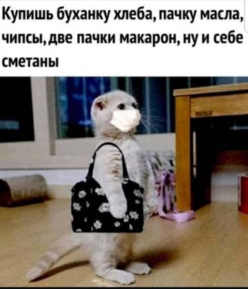 https://upforme.ru/uploads/001a/b7/49/32/t622074.jpg