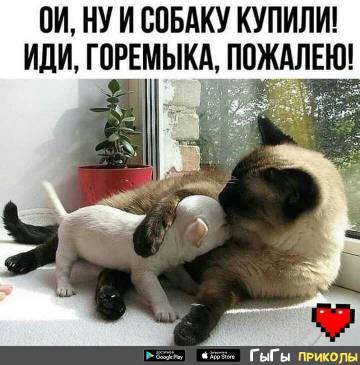 https://upforme.ru/uploads/001a/b7/49/32/t986026.jpg