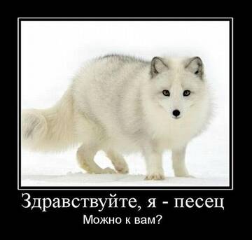 https://upforme.ru/uploads/001a/b7/49/34/t781235.jpg