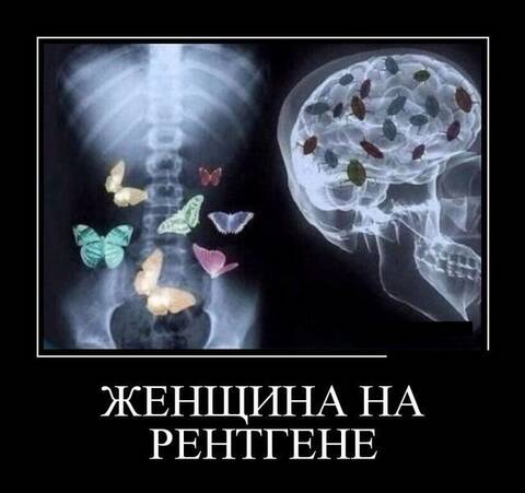 https://upforme.ru/uploads/001a/b7/49/34/t87088.jpg