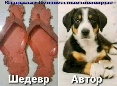 https://upforme.ru/uploads/001a/b7/49/344/t10599.jpg