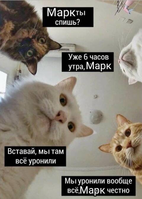 https://upforme.ru/uploads/001a/b7/49/344/t139722.jpg