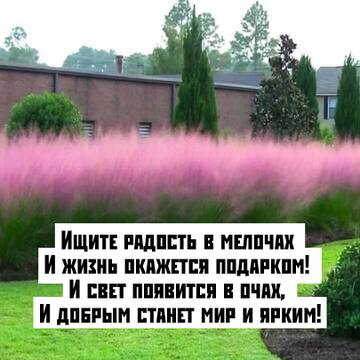 https://upforme.ru/uploads/001a/b7/49/344/t15867.jpg