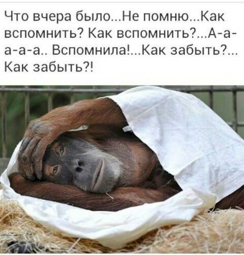 https://upforme.ru/uploads/001a/b7/49/344/t163461.jpg