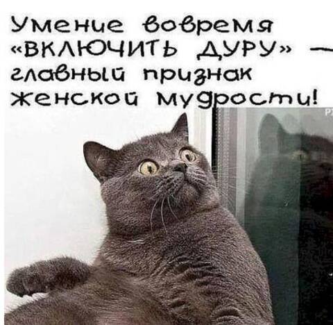 https://upforme.ru/uploads/001a/b7/49/344/t17198.jpg