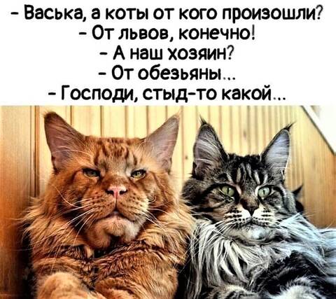https://upforme.ru/uploads/001a/b7/49/344/t282625.jpg