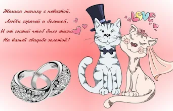 https://upforme.ru/uploads/001a/b7/49/344/t463764.webp