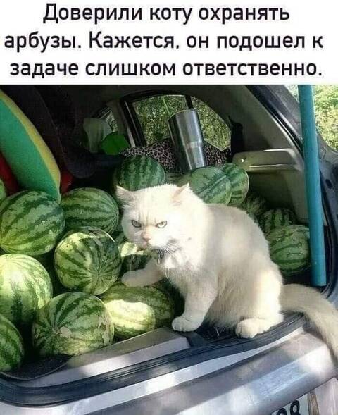 https://upforme.ru/uploads/001a/b7/49/344/t49386.jpg