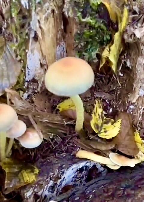 https://upforme.ru/uploads/001a/b7/49/344/t515775.jpg