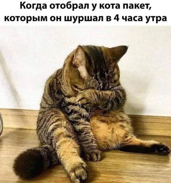 https://upforme.ru/uploads/001a/b7/49/344/t55558.jpg