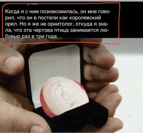 https://upforme.ru/uploads/001a/b7/49/344/t565069.jpg