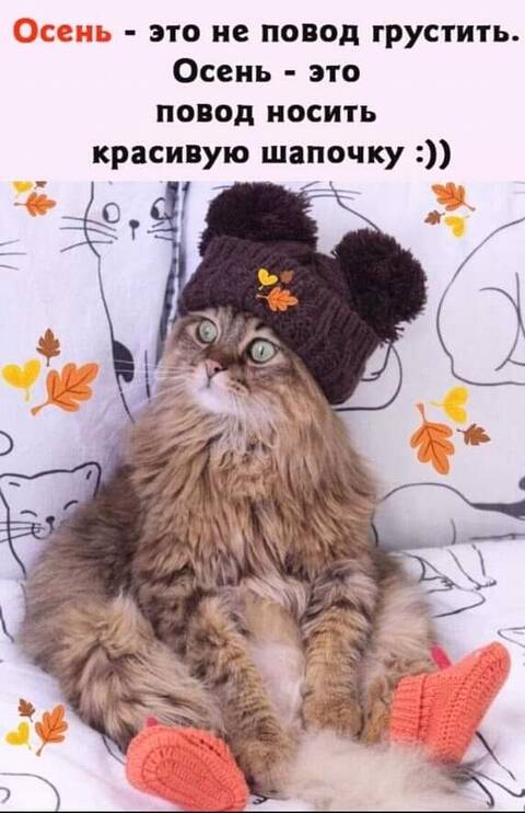 https://upforme.ru/uploads/001a/b7/49/344/t56748.jpg