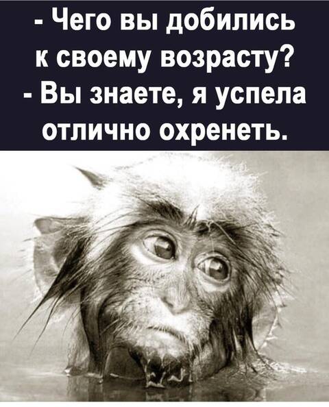 https://upforme.ru/uploads/001a/b7/49/344/t645623.jpg