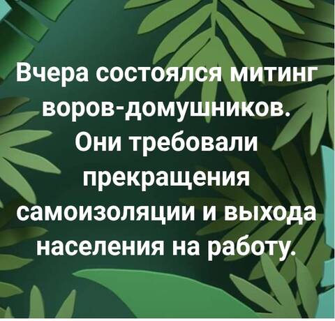 https://upforme.ru/uploads/001a/b7/49/344/t654051.jpg