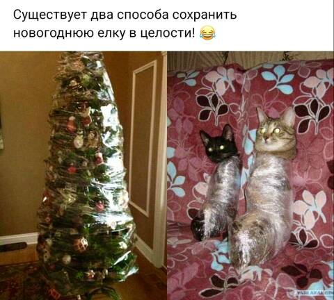 https://upforme.ru/uploads/001a/b7/49/344/t710107.jpg