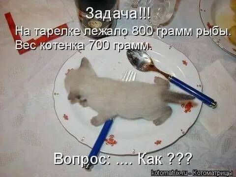 https://upforme.ru/uploads/001a/b7/49/344/t763825.jpg