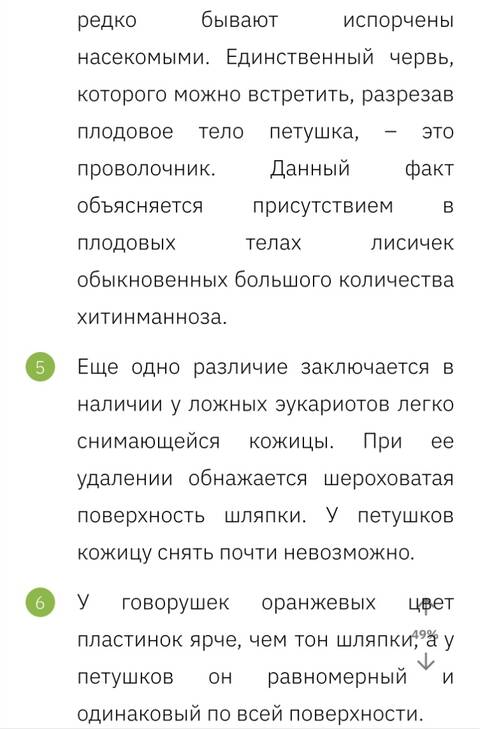 https://upforme.ru/uploads/001a/b7/49/344/t811462.jpg