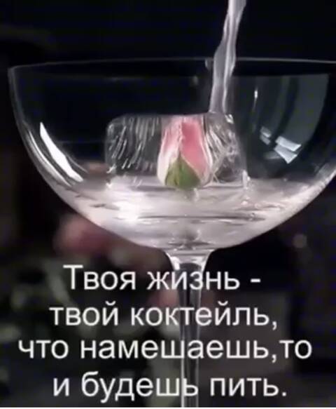 https://upforme.ru/uploads/001a/b7/49/344/t817170.jpg