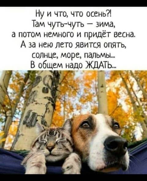https://upforme.ru/uploads/001a/b7/49/344/t844750.jpg
