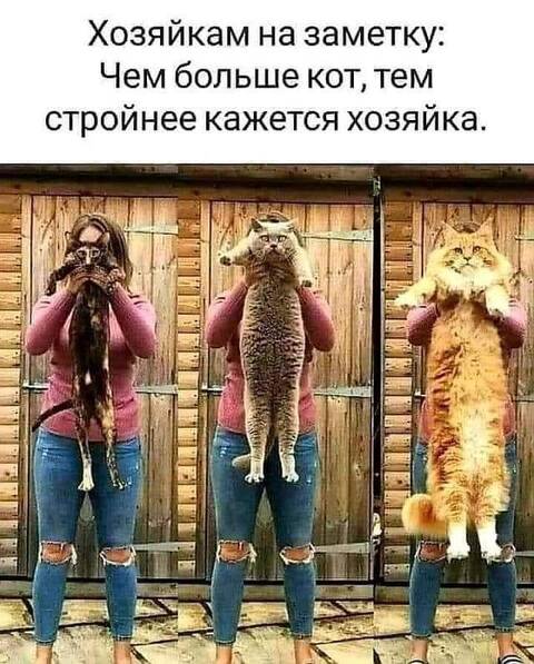 https://upforme.ru/uploads/001a/b7/49/344/t886352.jpg