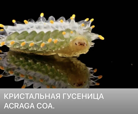 https://upforme.ru/uploads/001a/b7/49/344/t940232.jpg