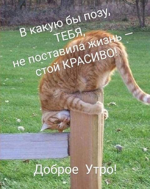 https://upforme.ru/uploads/001a/b7/49/344/t944650.jpg