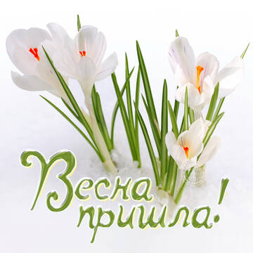 https://upforme.ru/uploads/001a/b7/49/360/t225390.jpg