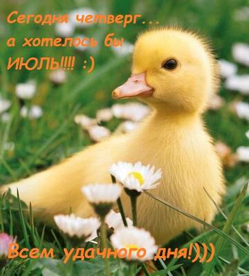 https://upforme.ru/uploads/001a/b7/49/360/t359401.jpg